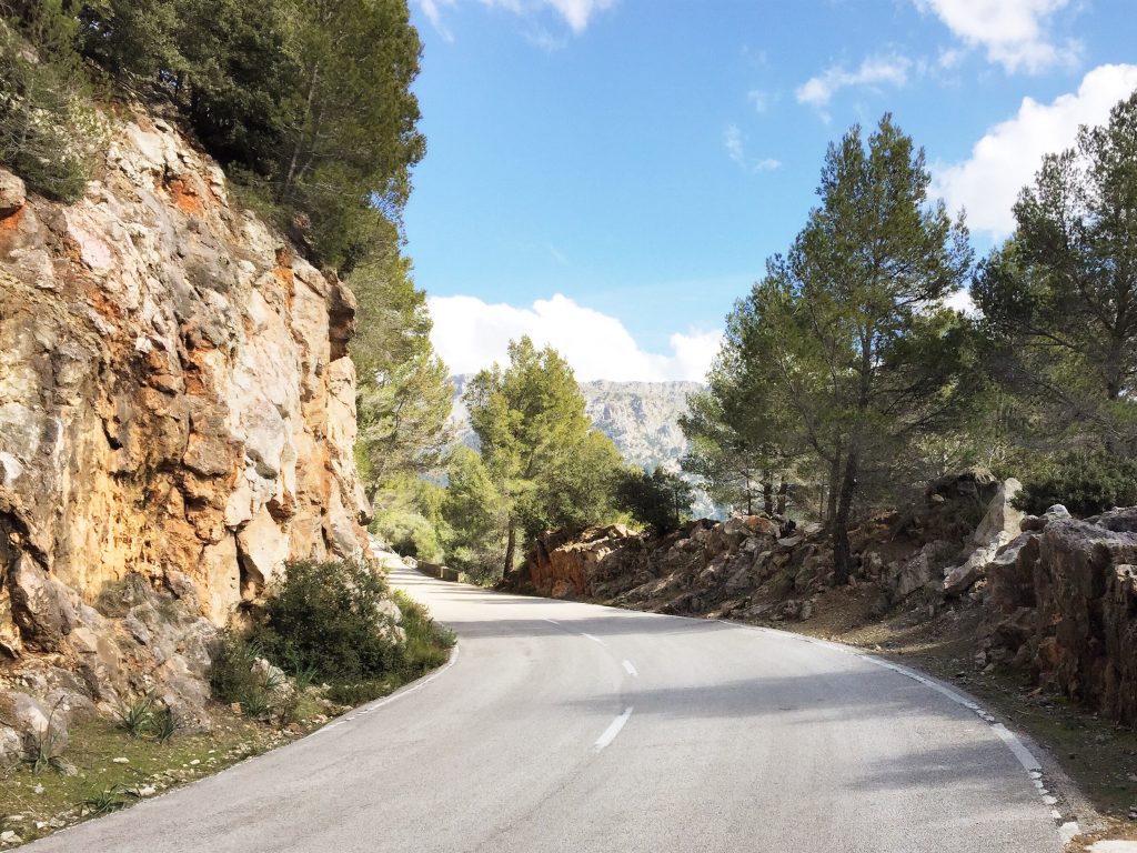 Coll de Femenia, Coll d’Orient, Port de Valdemossa, Puig Major