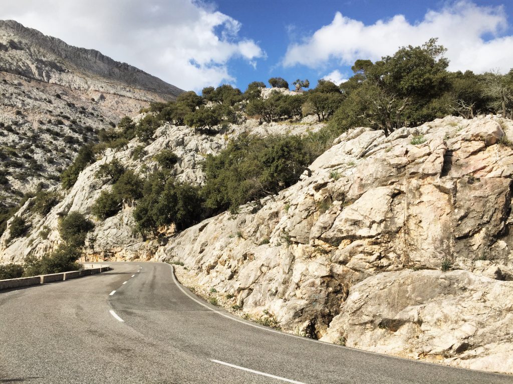 Coll de Femenia, Coll d’Orient, Port de Valdemossa, Puig Major