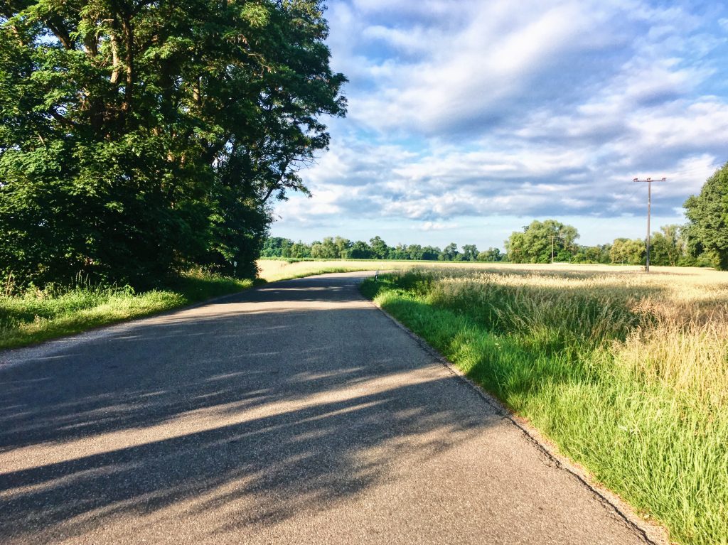 Radfahrt am Morgen