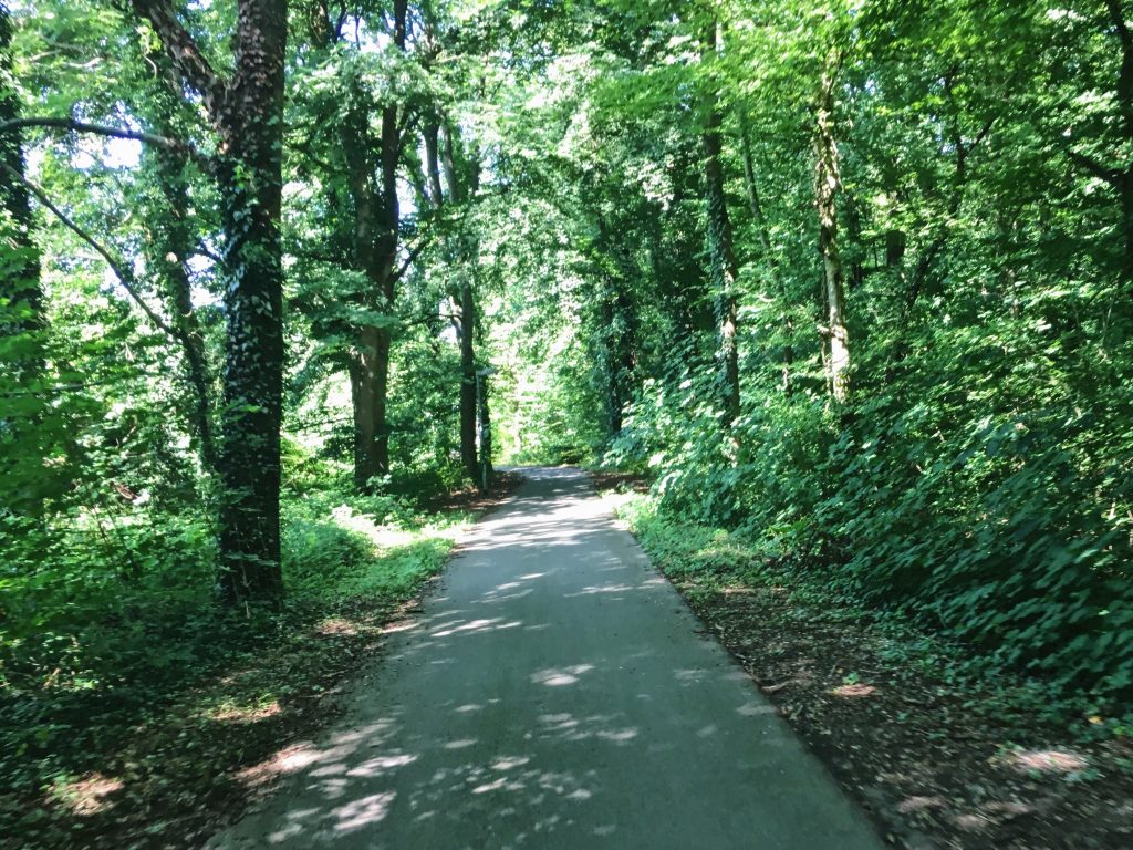 Fahrt am Nachmittag