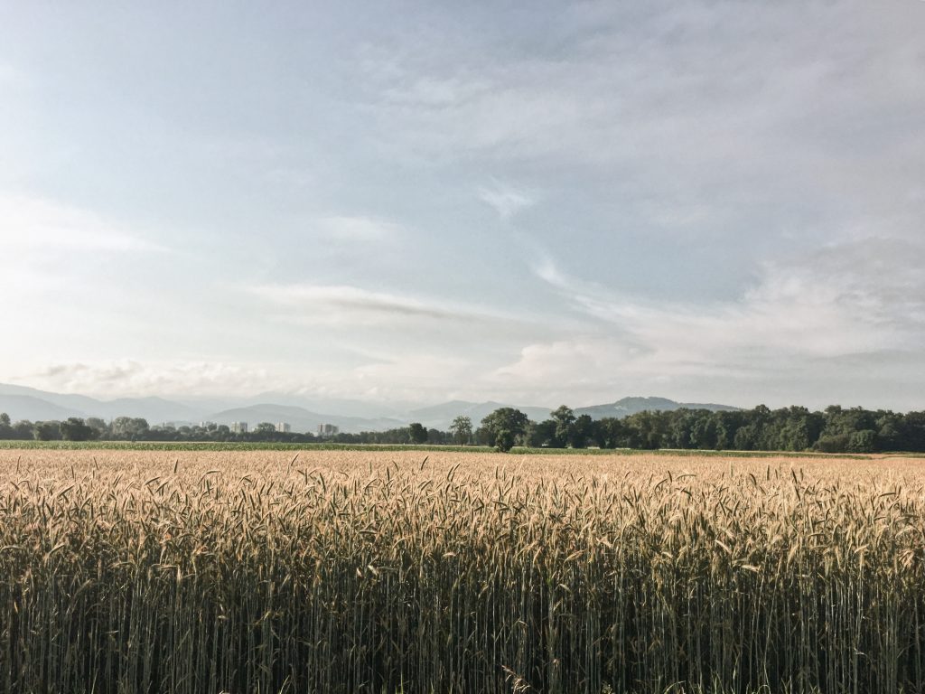 Radfahrt am Morgen