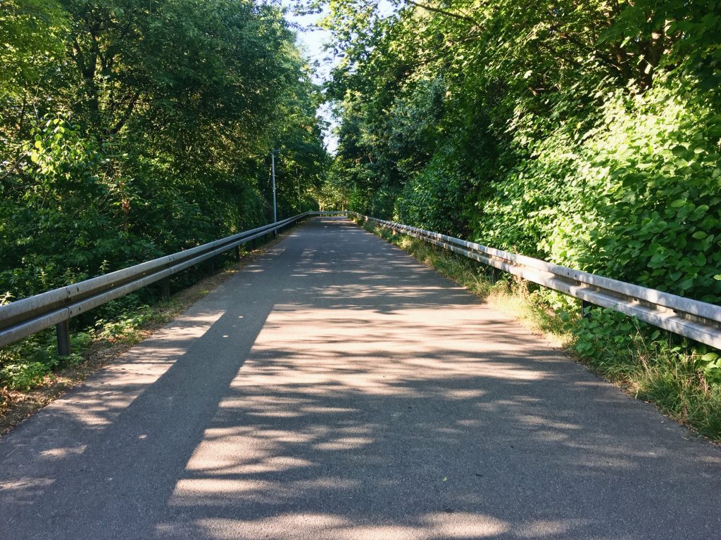 Radfahrt am Morgen