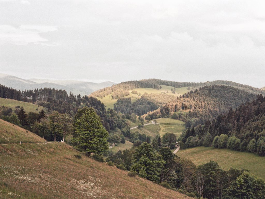Schwarzwald
