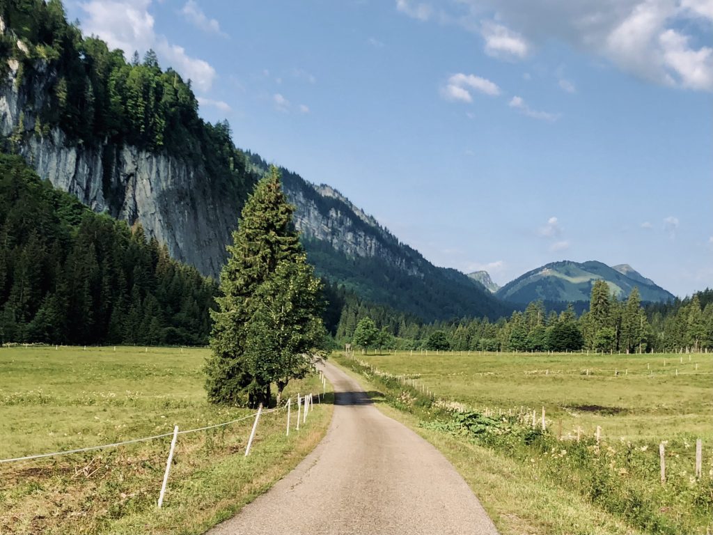 Riedbergpass, Rohrmoossattel