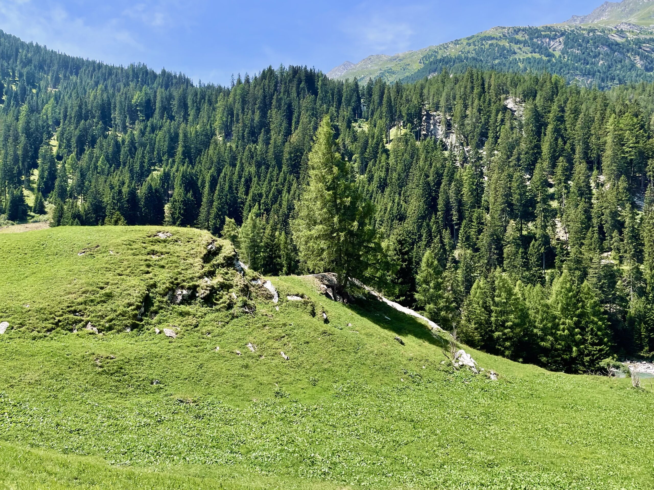 Juf, Splügenpass