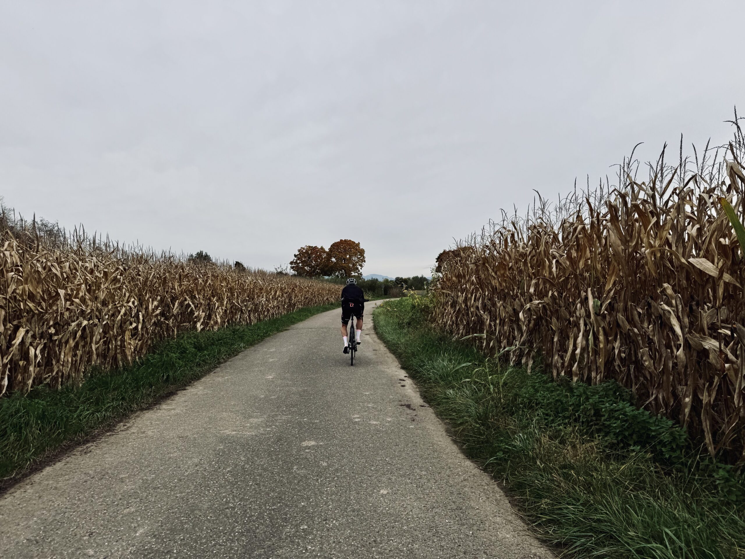 RideTogether