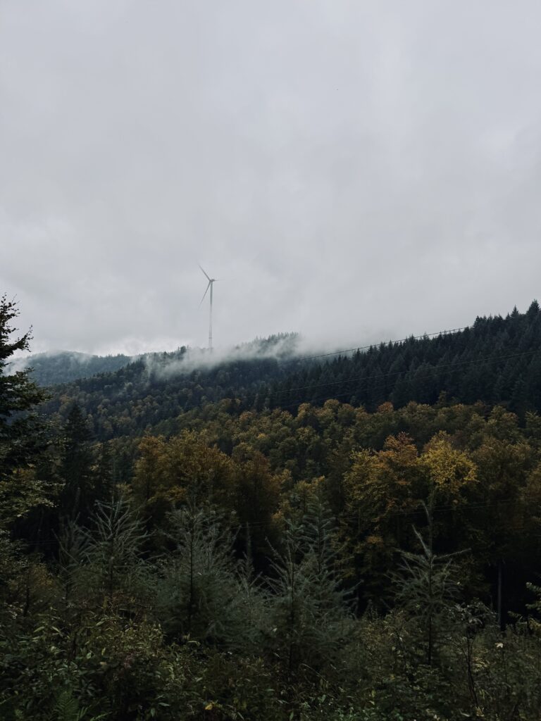 Schauinsland