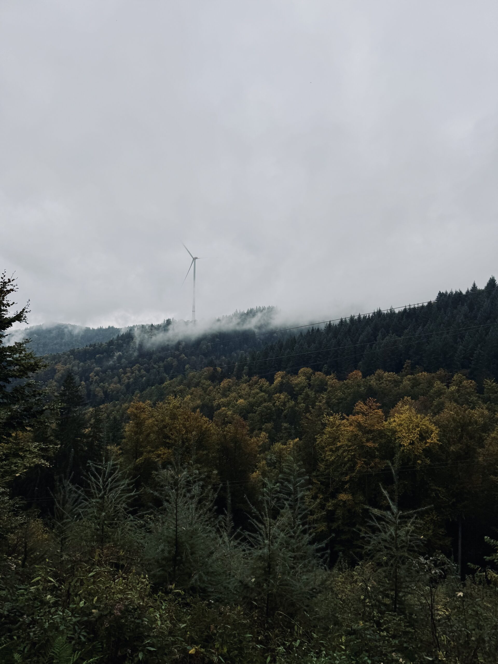 Schauinsland