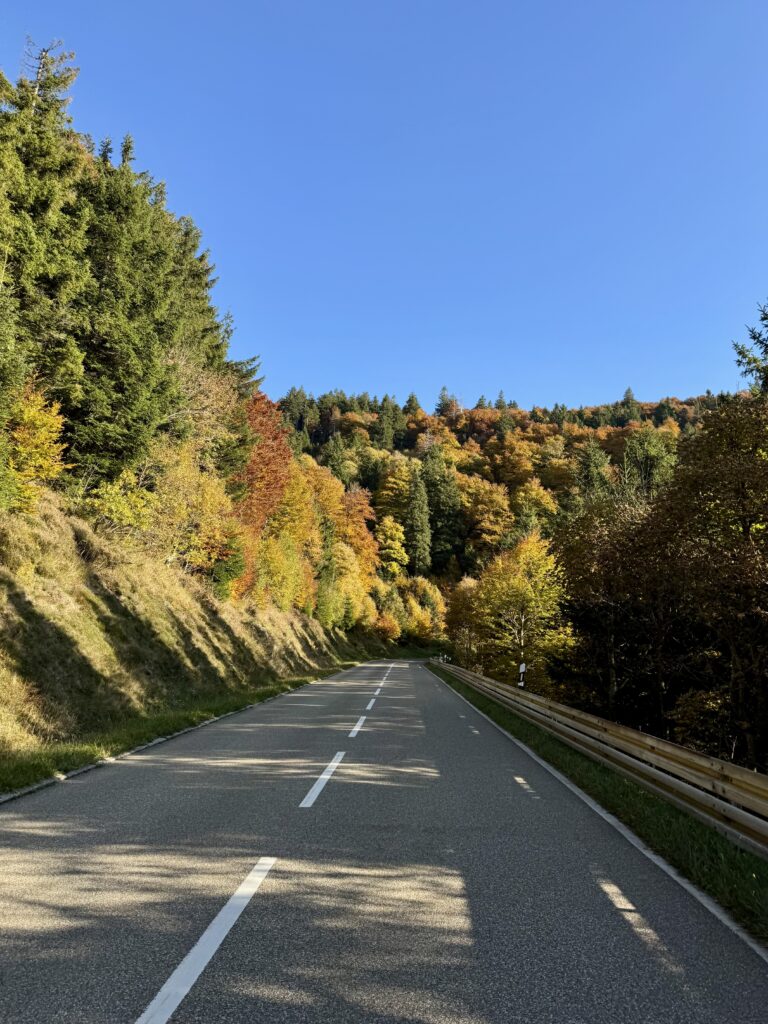 Schauinsland