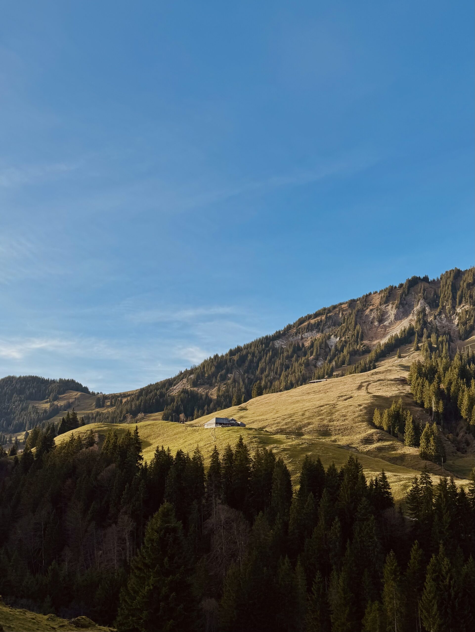 Glaubenbüelenpass, Glaubenbergpass