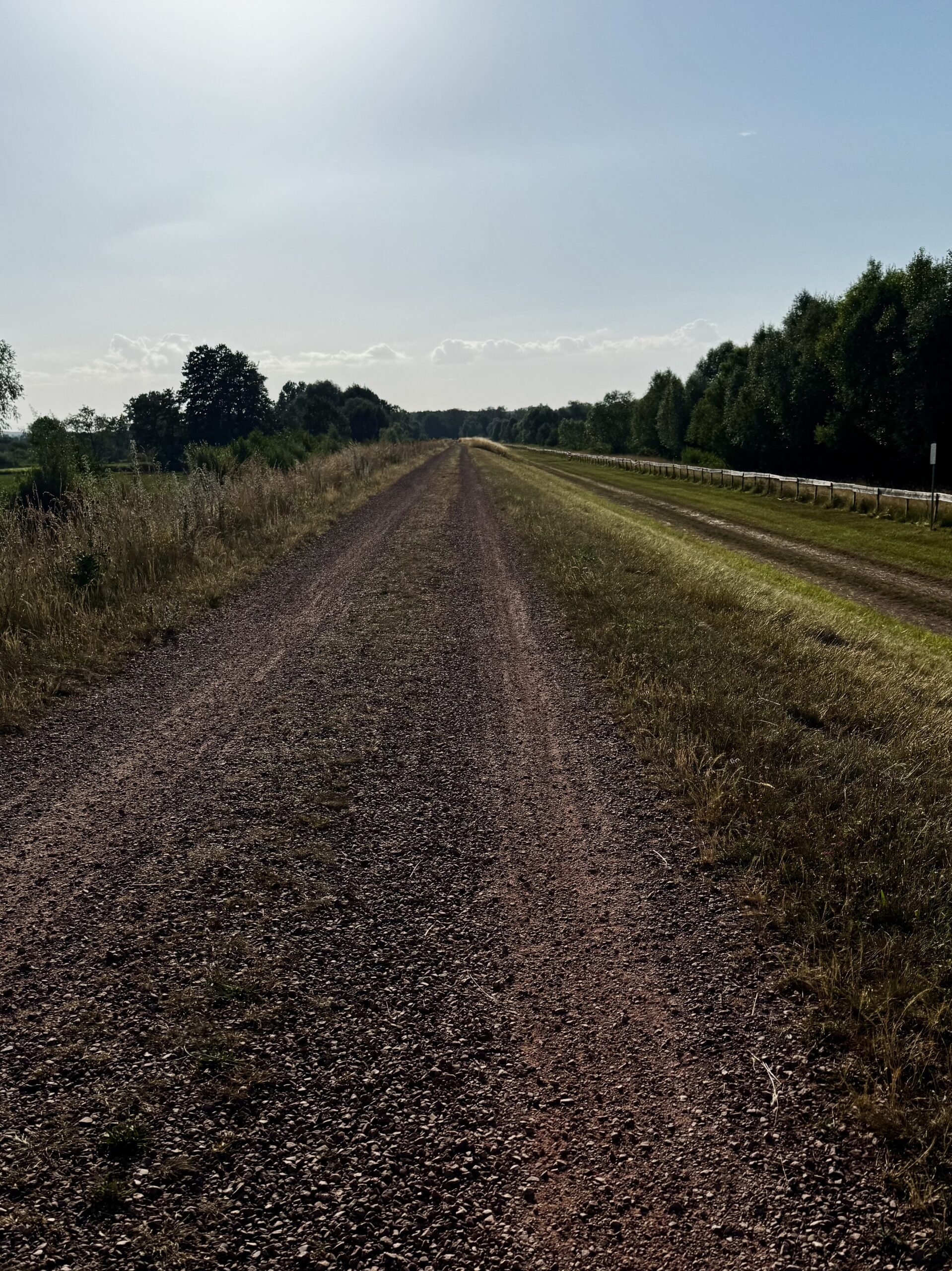 Fahrt am Abend