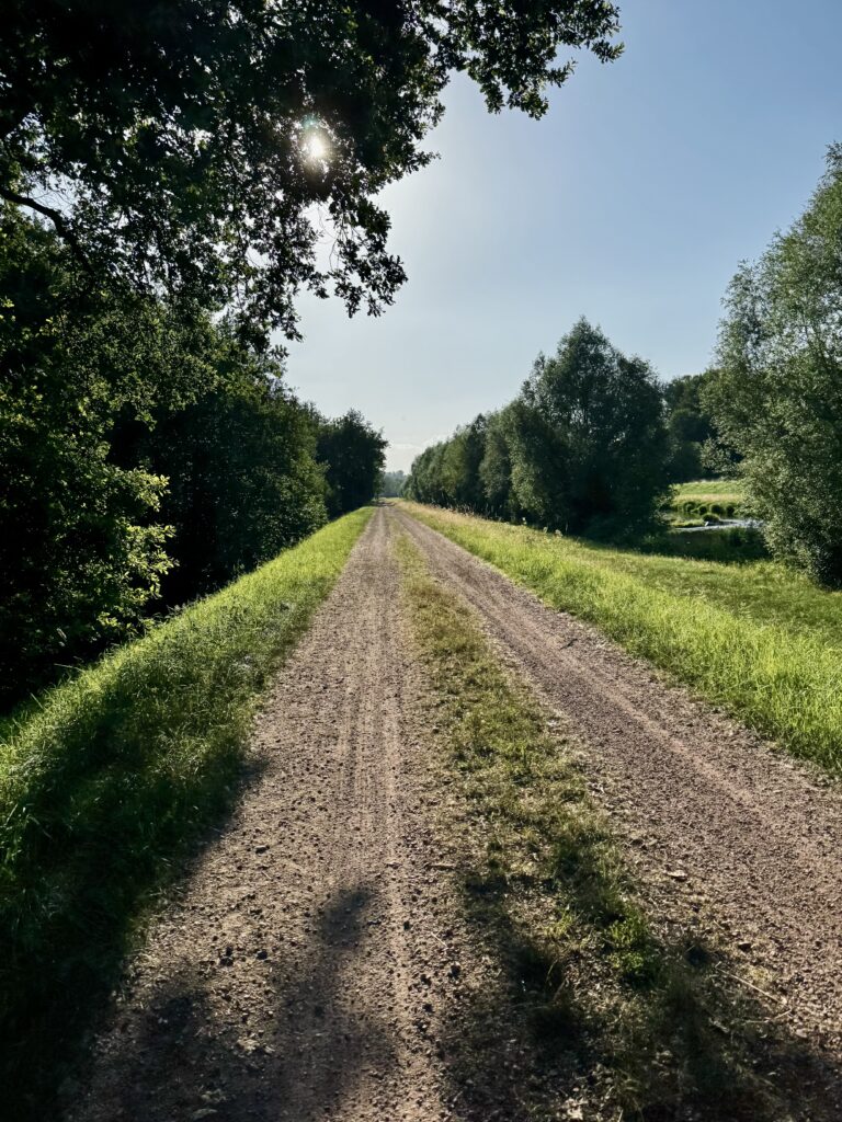 Fahrt am Abend