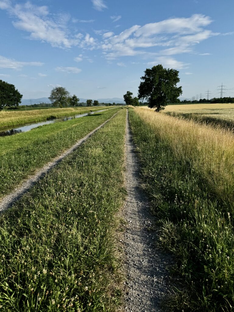 Fahrt am Abend