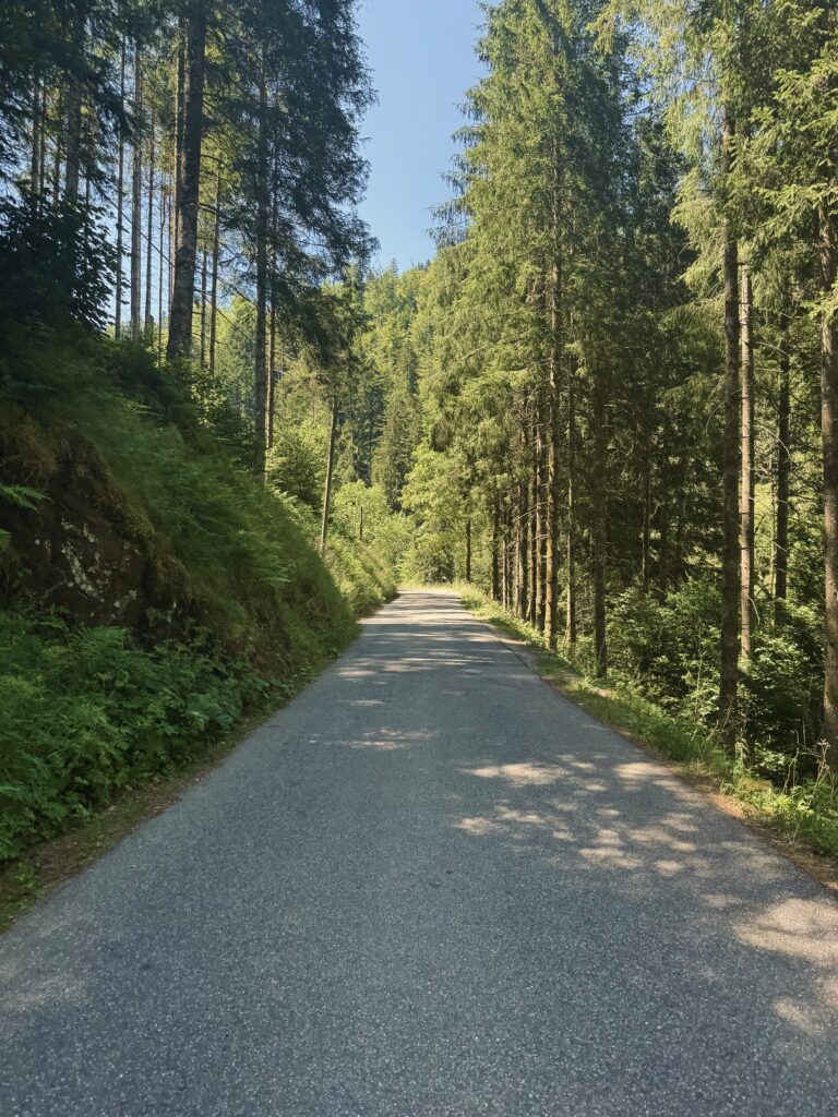 Neuhäusle