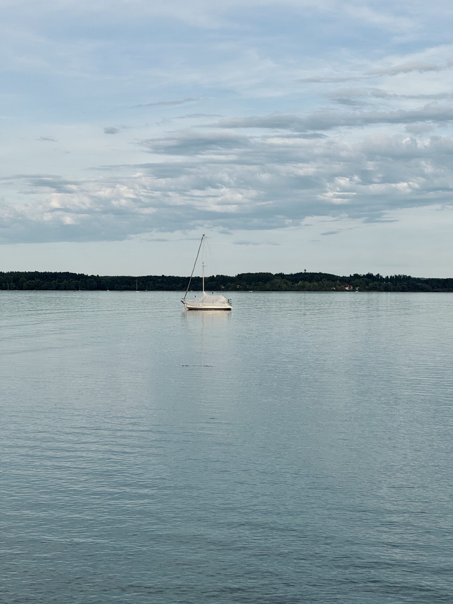 Fahrt am Abend
