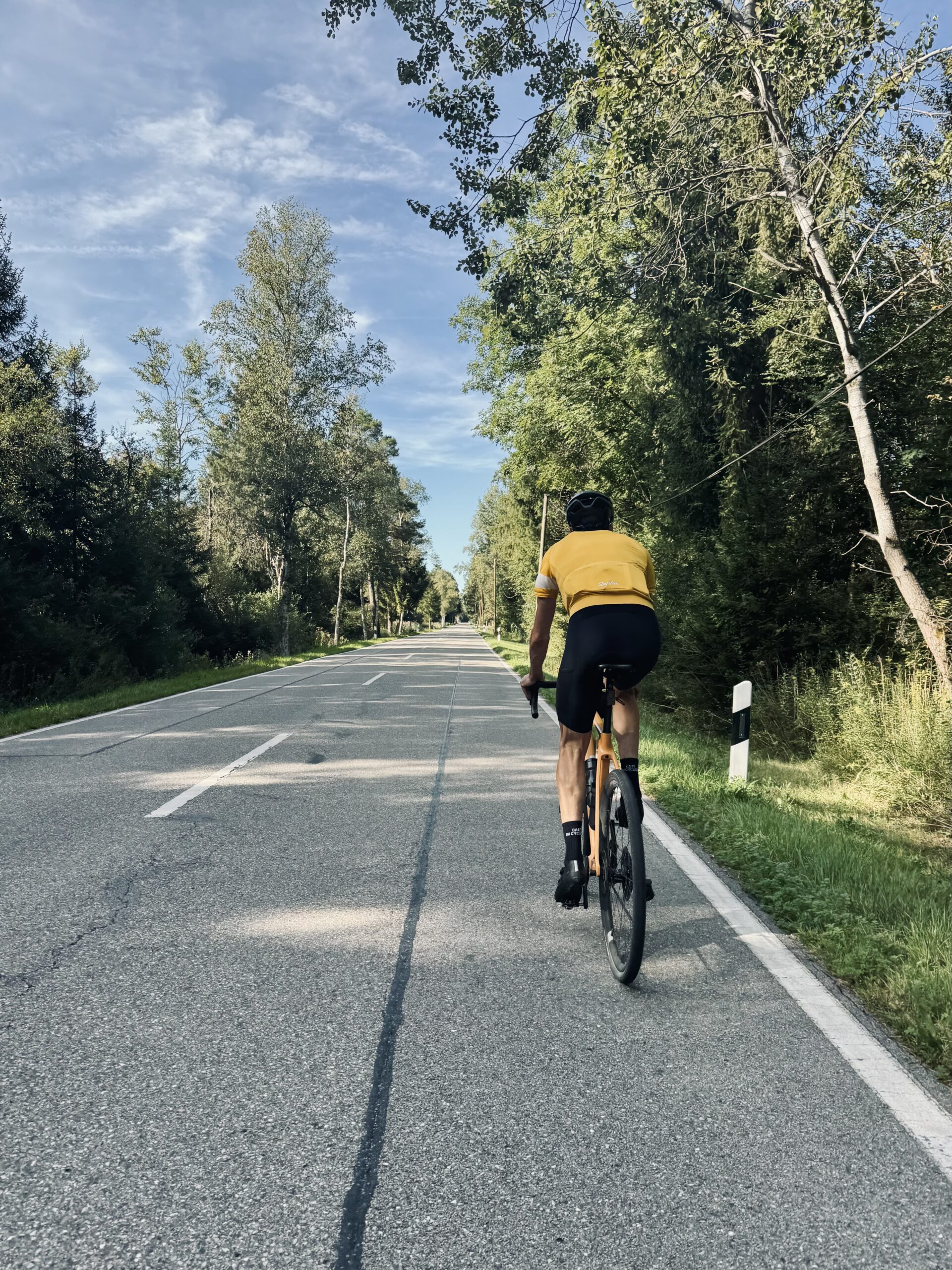 Fahrt am Morgen