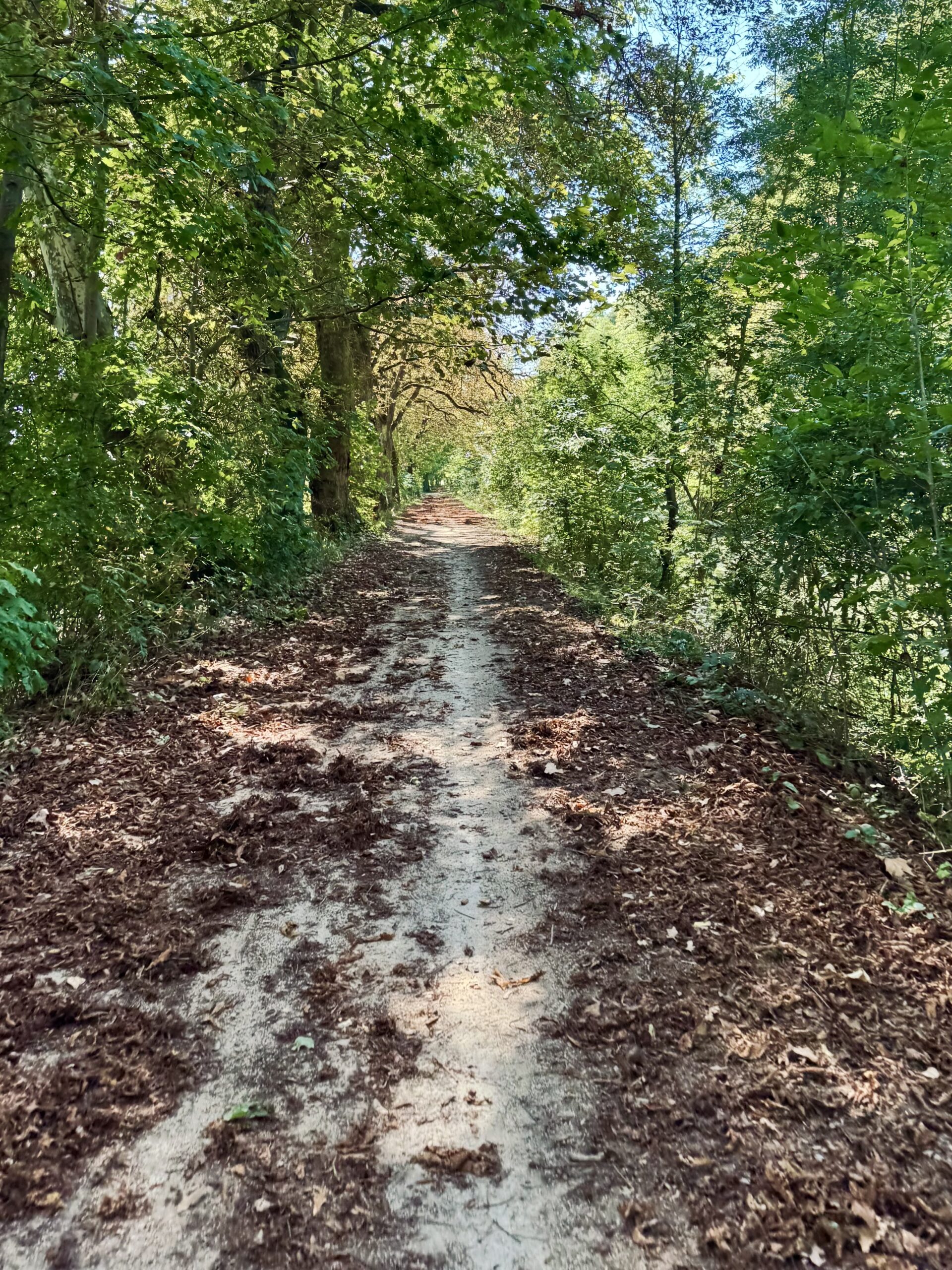 Gravelfahrt am Nachmittag