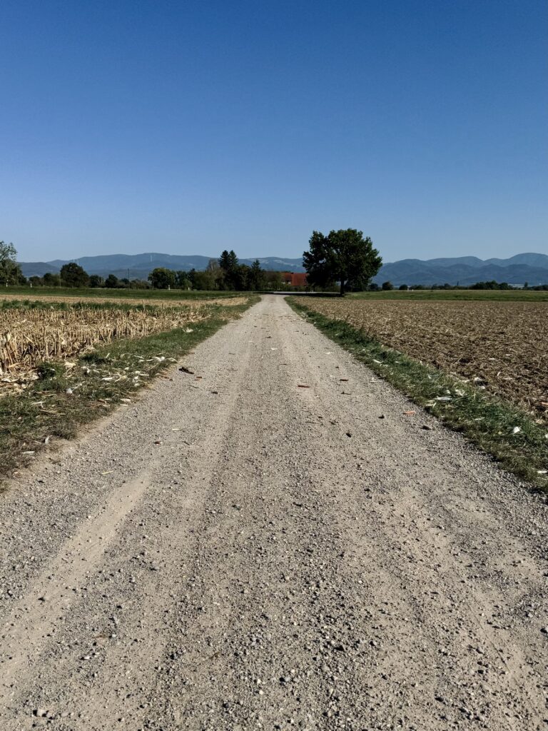 Gravelfahrt am Nachmittag