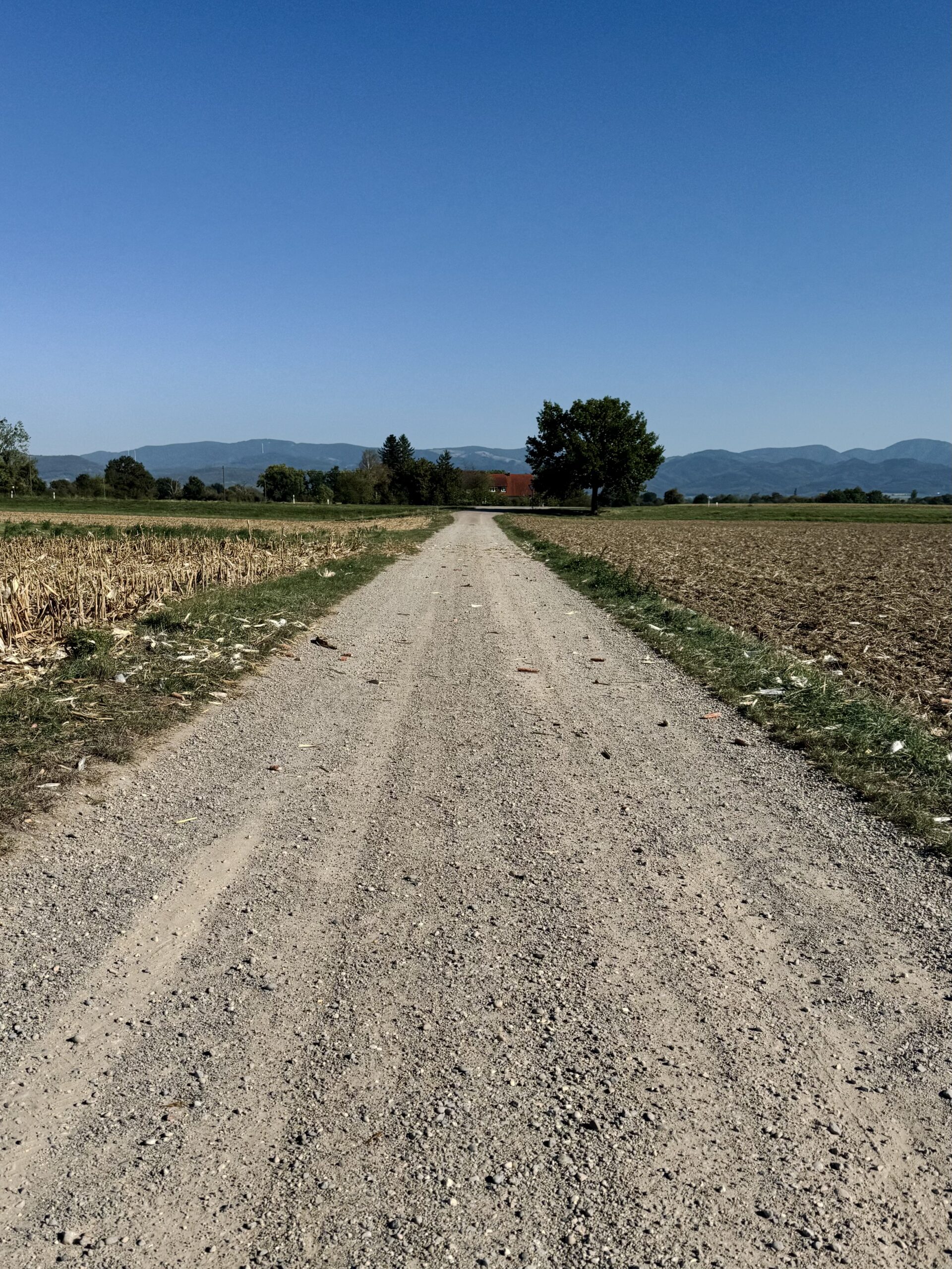 Gravelfahrt am Nachmittag