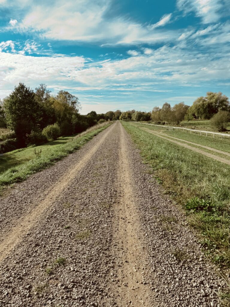 Fahrt am Nachmittag