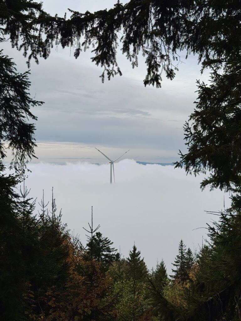 Schauinsland, St. Peter, Potsdamer Platz